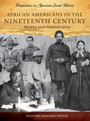 African Americans in the Nineteenth Century - ebook